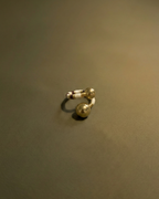 Solar Maxi Ring